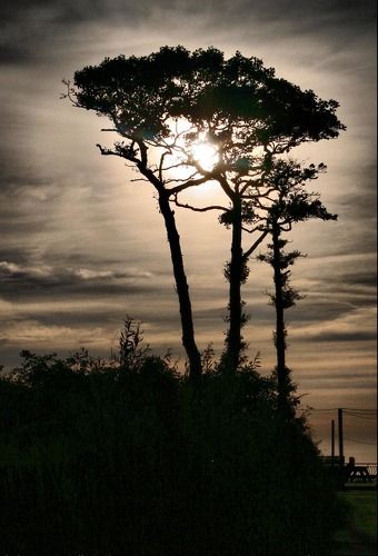 Закат на Куршской косе