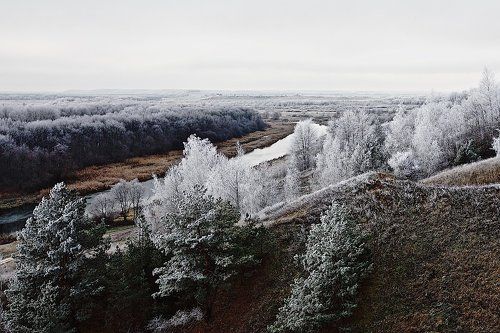 Серебряная тишина
