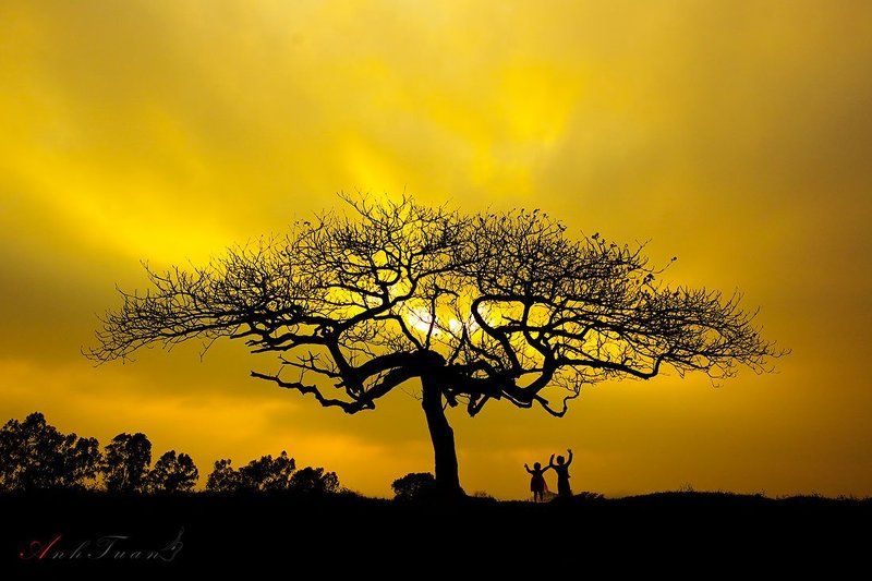 Sunset. фото превью