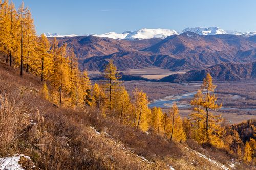 Золотая осень на Алтае
