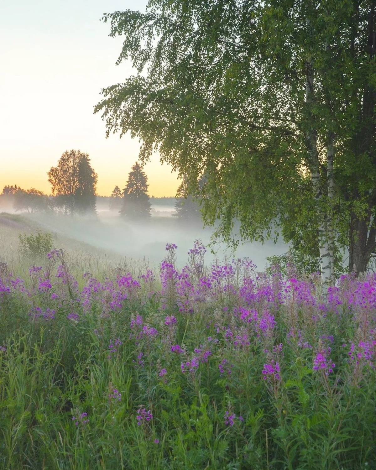 , Петр Косых