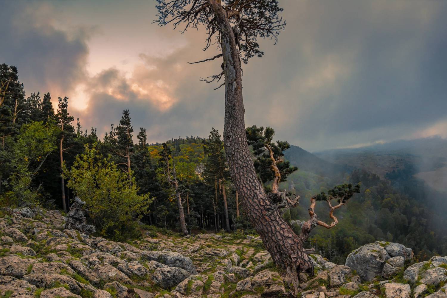 горы лас закат, Anatoly