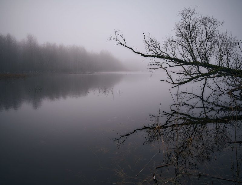 апрель.  фото превью