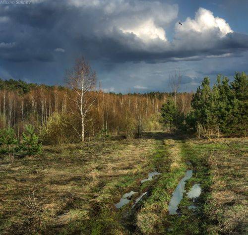 После весеннего дождя