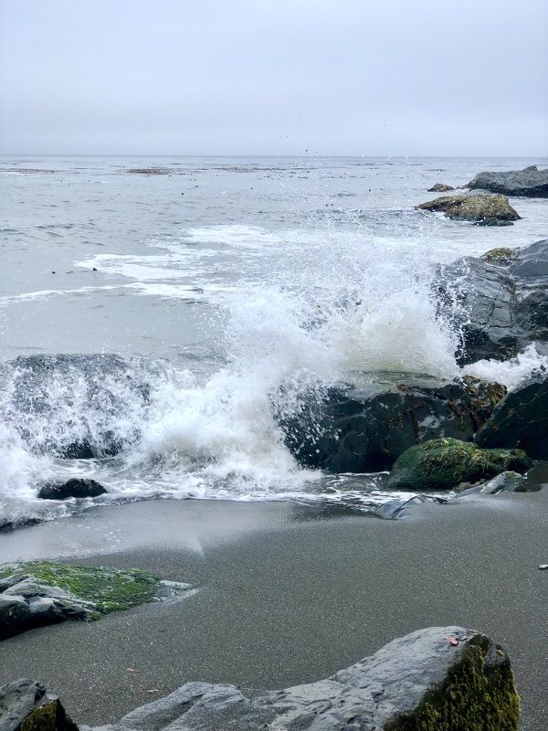 Point Reyes фото превью
