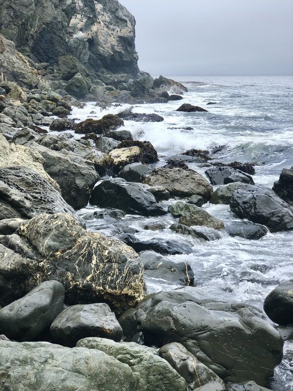 Point Reyes фото превью