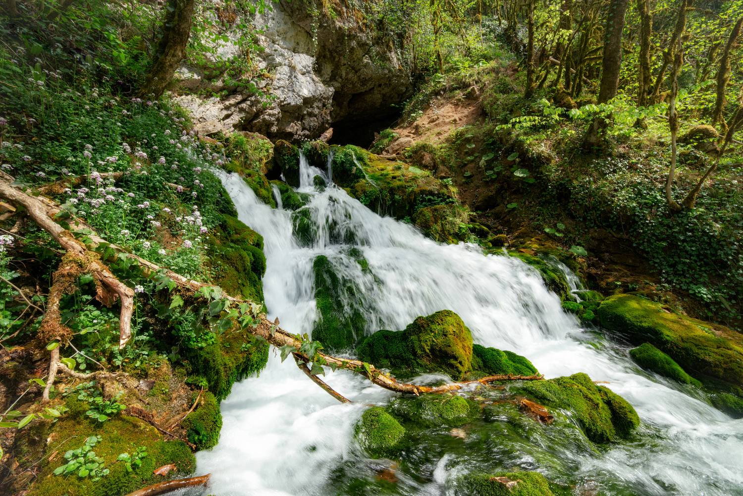 , Сергей Тихомиров