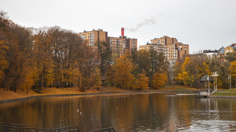 озеро, осень, пейзаж, Калининград, архитектура, город, фотография, Россия, природа, Свирин Вадим, 2023, lake, autumn, landscape, Kaliningrad, architecture, city, photography, Russia, nature, Vadim Svirin Верхнее озеро. фото превью