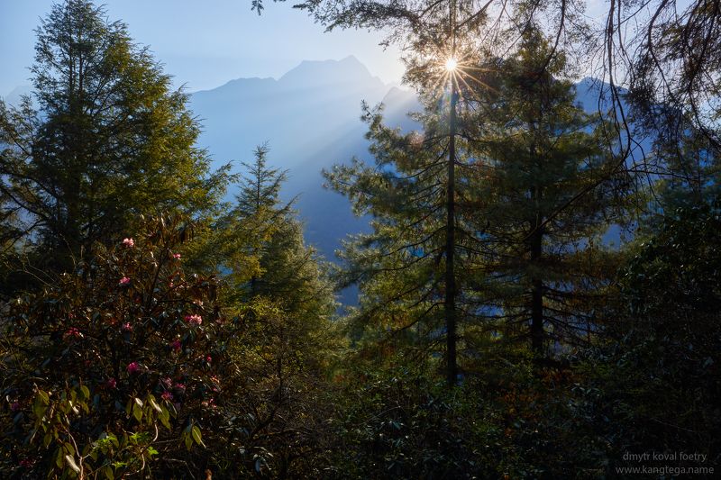 пейзажемагьё, пейзаж-как-виденье Утро в Волшебных Гималаях фото превью