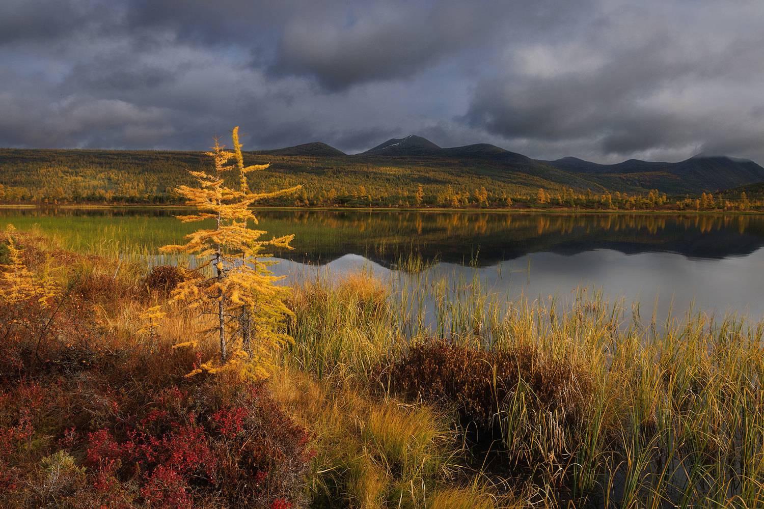 , Морозов Сергей