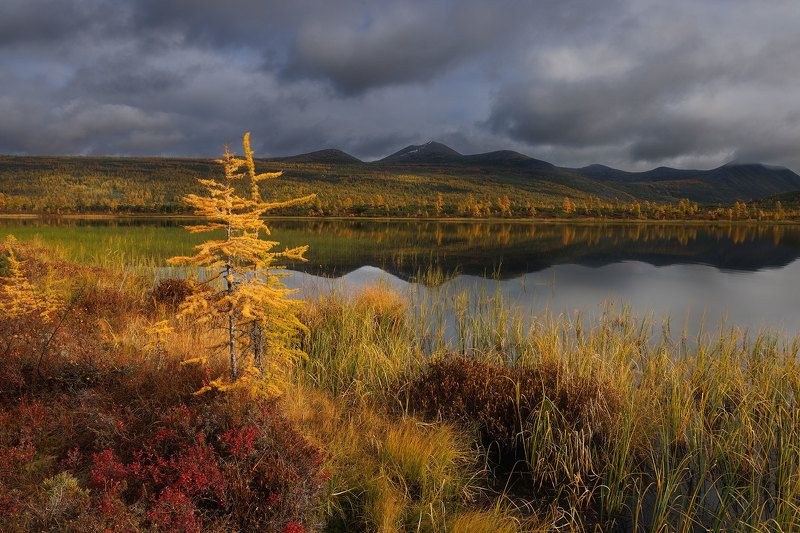 Озеро Джека Лондона фото превью