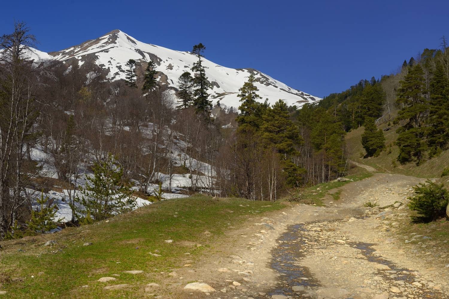 горы весна архыз, Александр Жарников