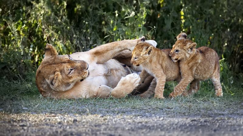 Малышковые будни - 2 фото превью