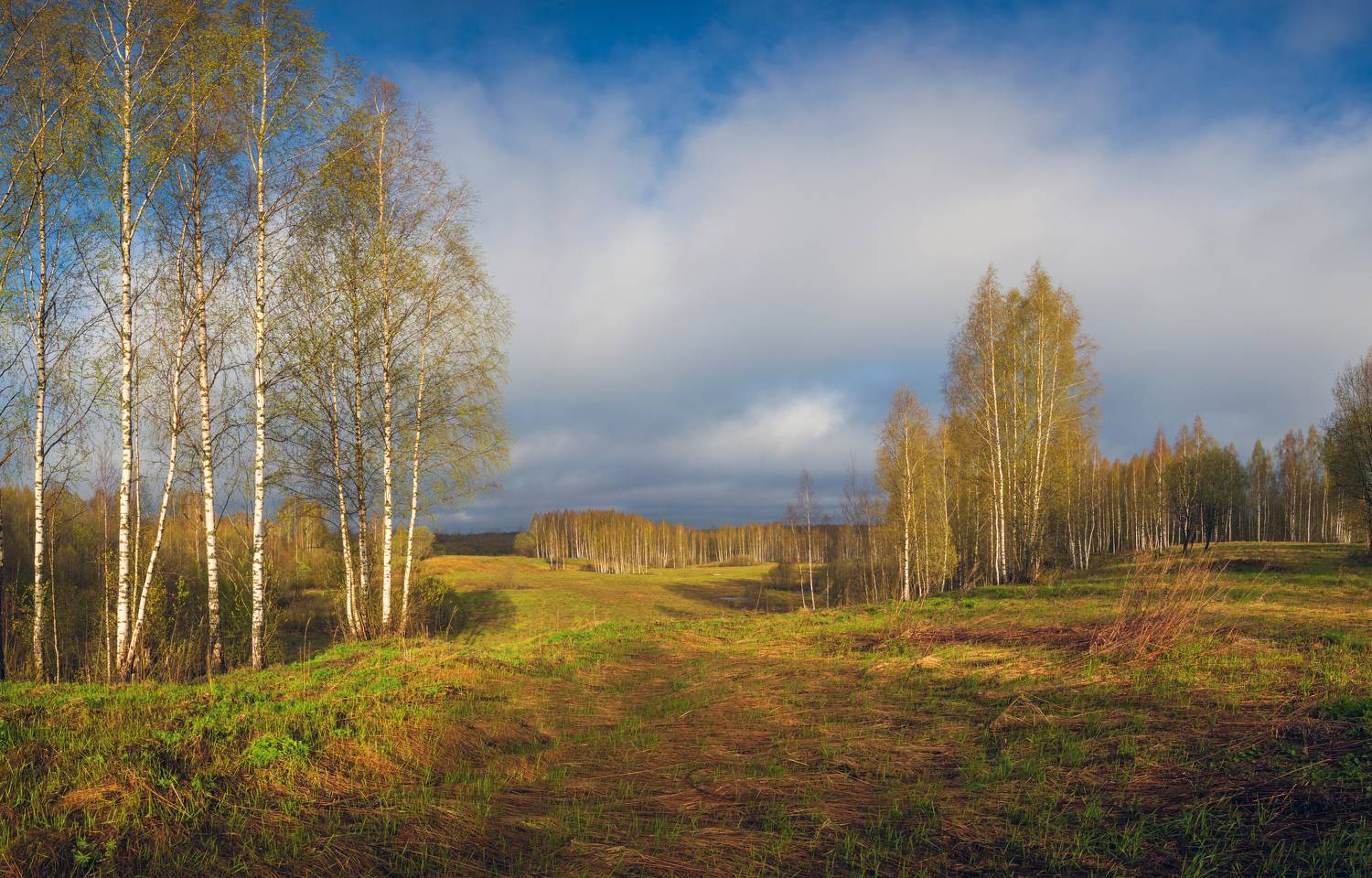 весна, поле, лес, облака, Свистков Александр