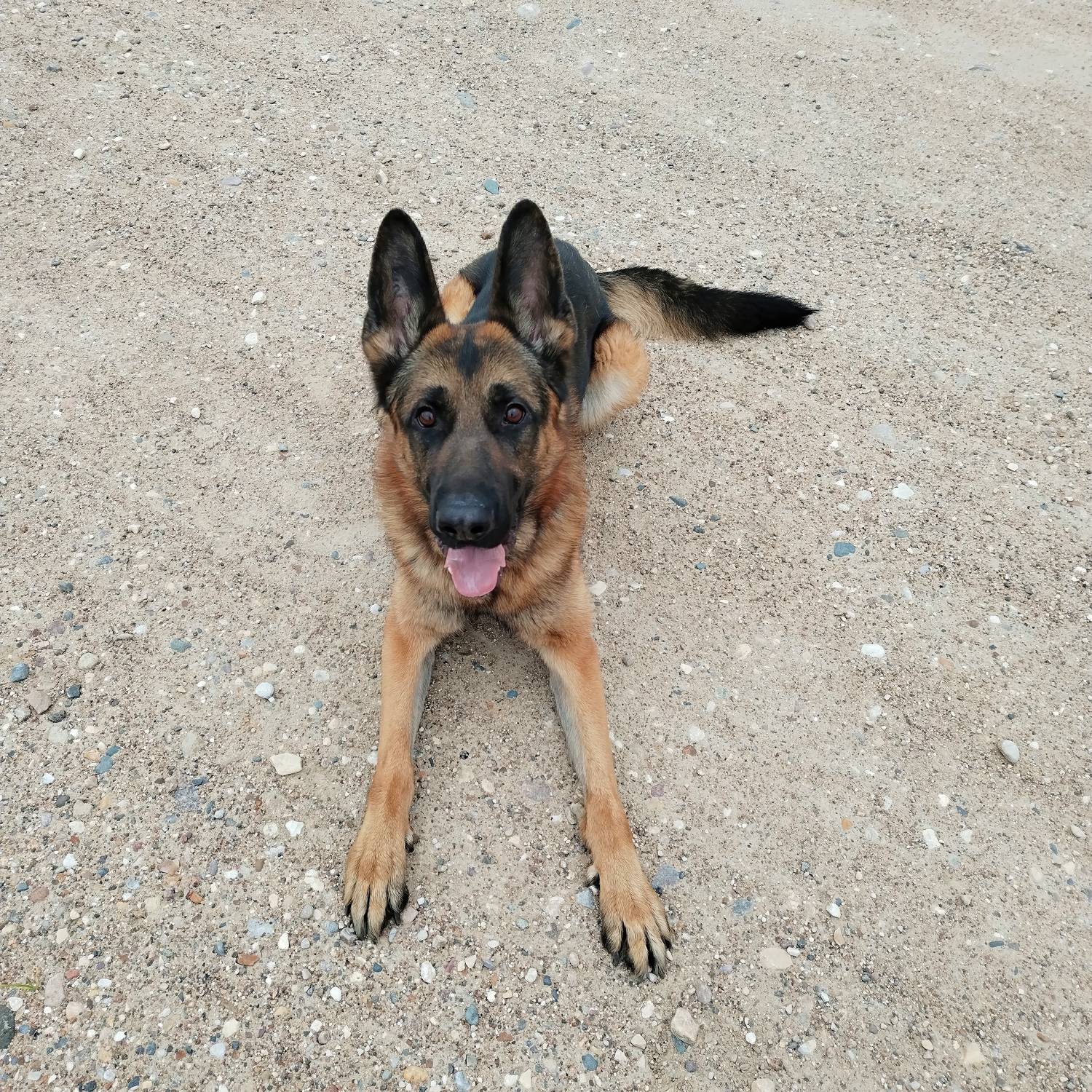 , Булатов Дмитрий