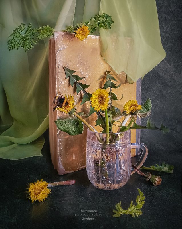 Шмель и одуванчик фото превью