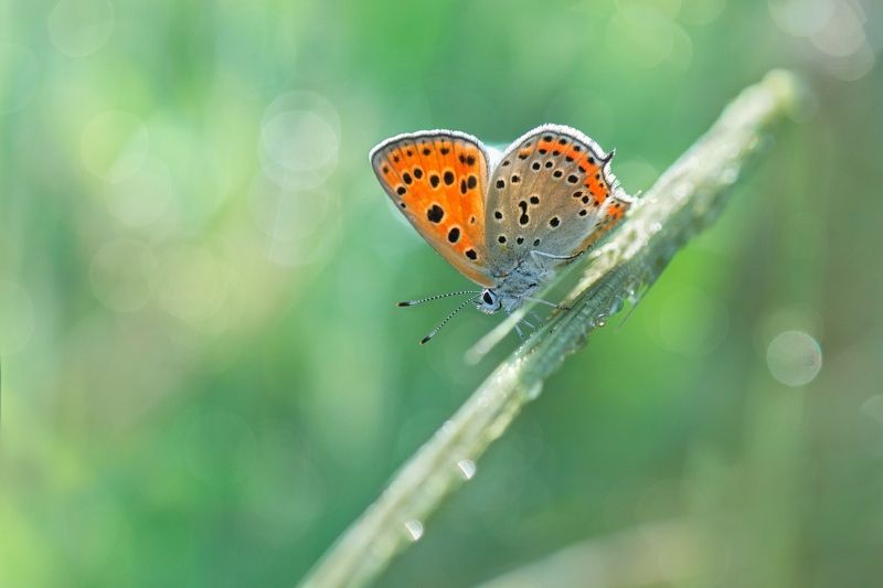 Прохлада апрельского утра... фото превью