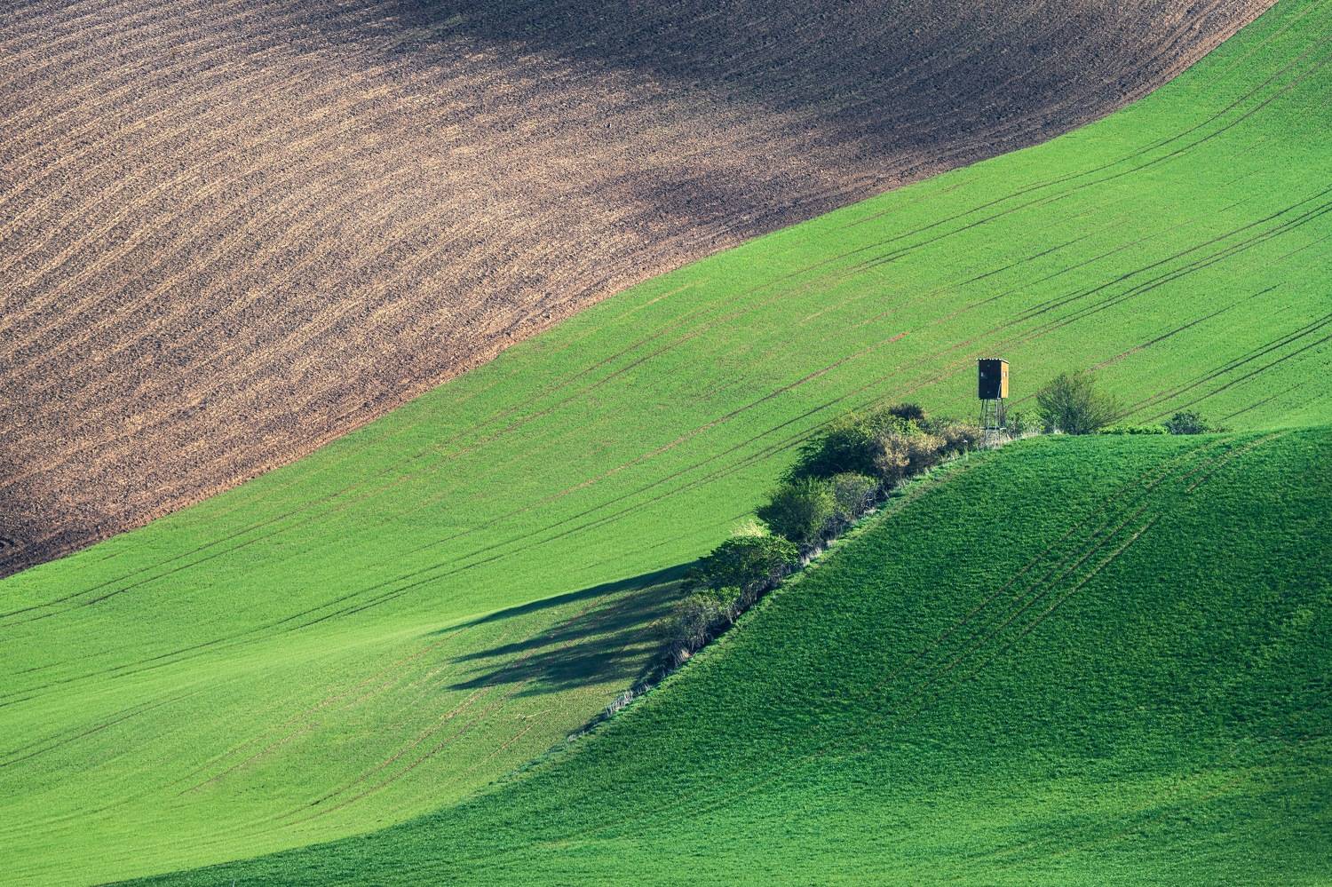 , Шимаковский Юрий