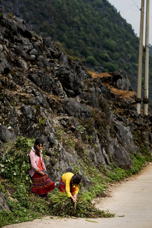 Scenes from life фото превью