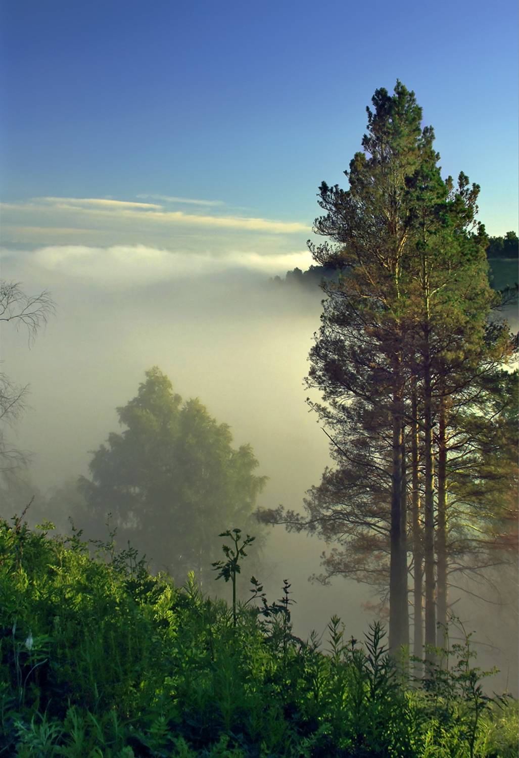 , Алексей Хахлов