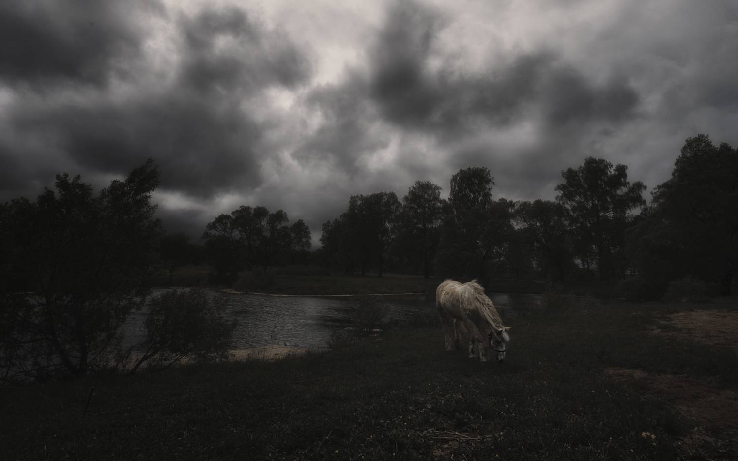 , Олег Дунаев