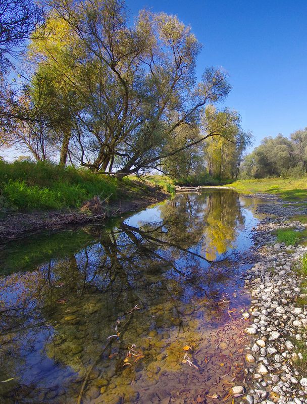 вода, река, весна, рыбак, деревья, кроны У воды фото превью