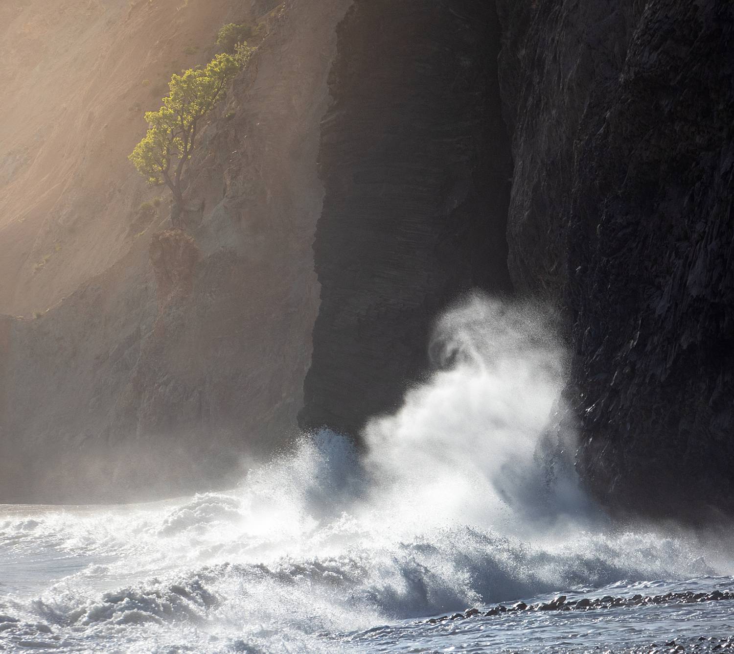 , Михаил Гапонов