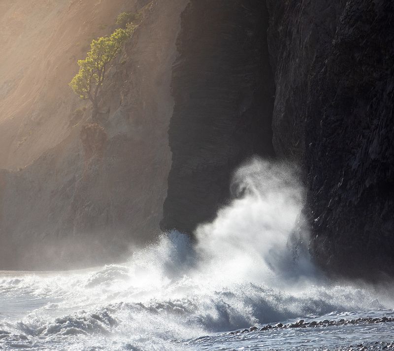 Одинокое дерево и стихия... фото превью