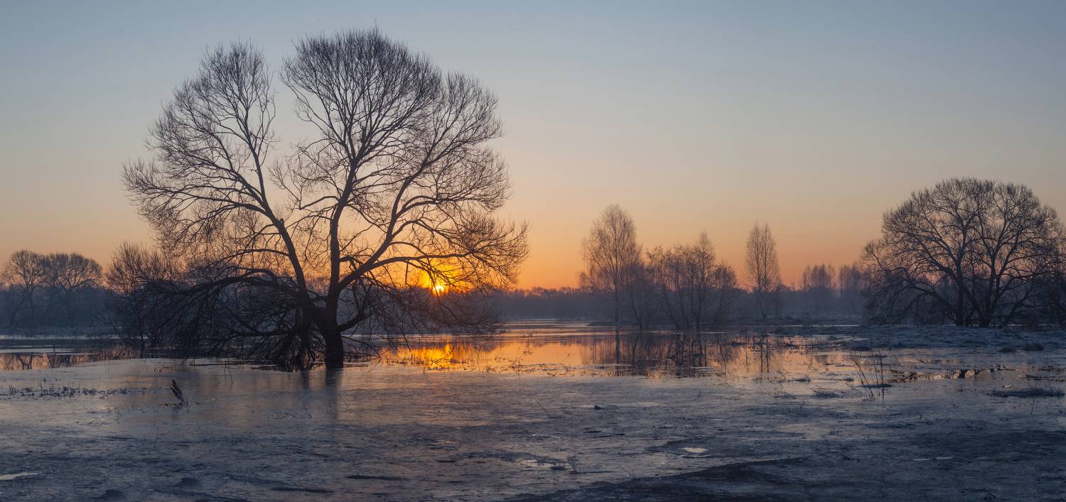 весна, рассвет, река, Свистков Александр
