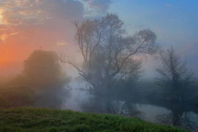 Время последних снов фото превью