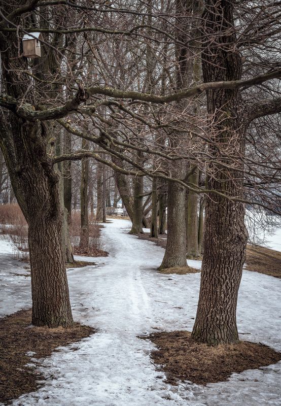 Приближение весны фото превью