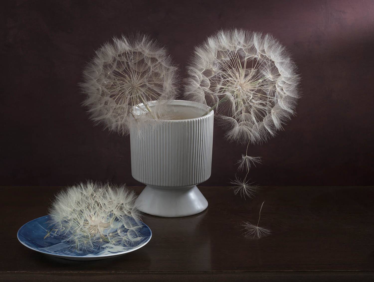 , Солодар Виктория