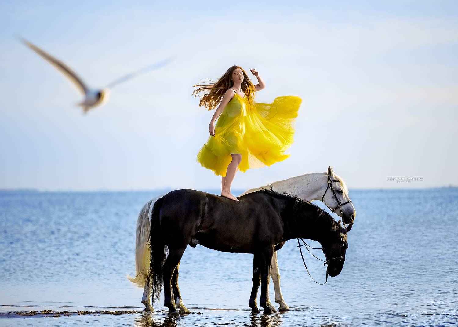 horse, horses, лошадь, конь, конный фотограф Яна Орлова,  конныйфотограф, кэнон, canon, 7020028, лошади, фотографияслошадью, фотосессияслошадью, фотосессиислошадьми, коннаяфотография, pferd, horsephotographer, женский портрет, девушка , Яна Орлова