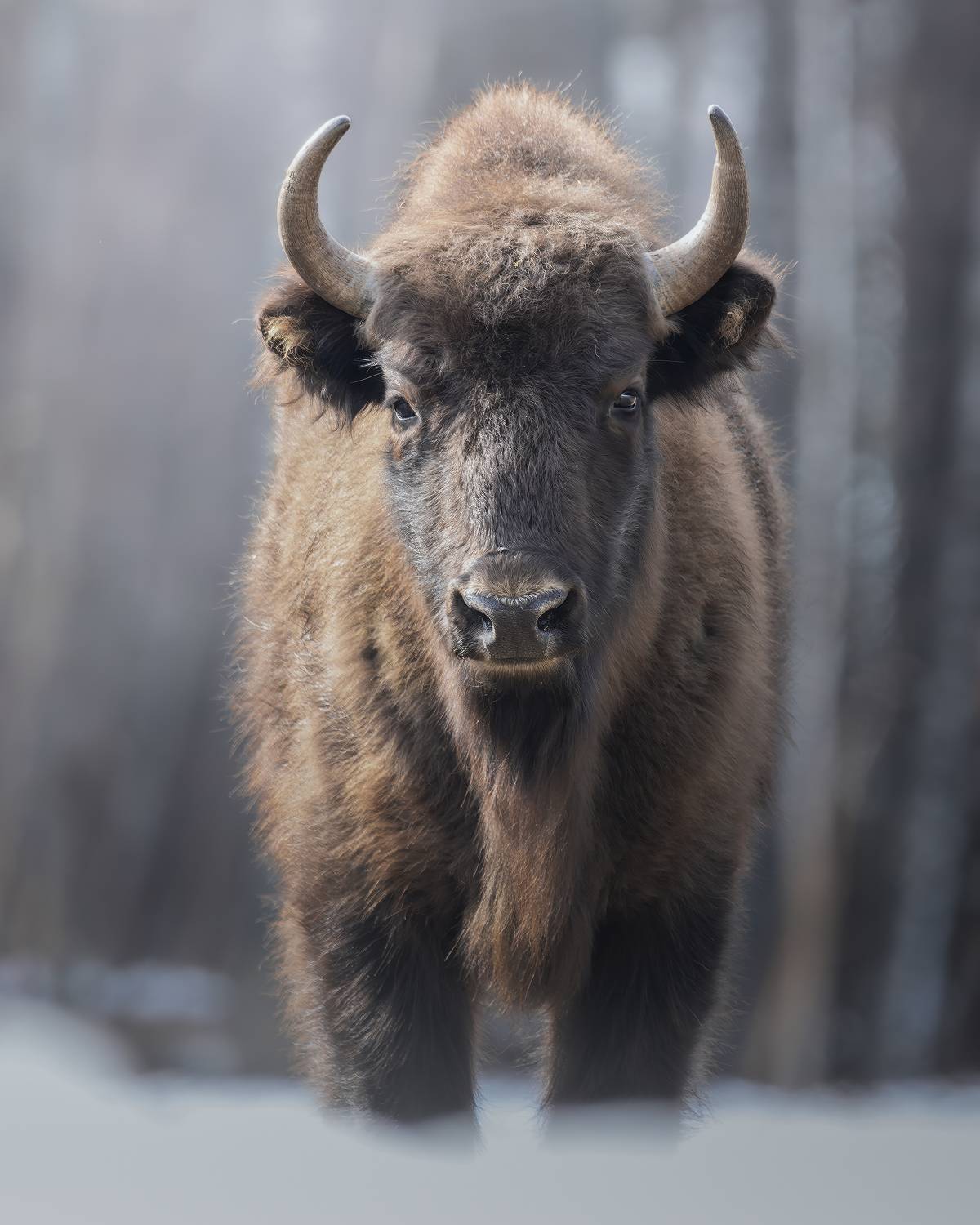 , Поляков Михаил