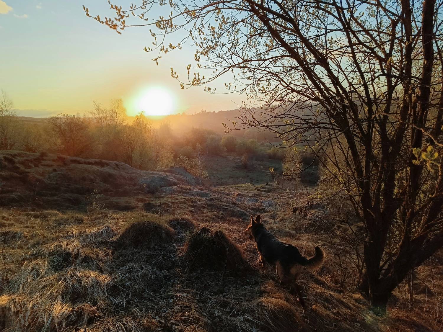 , Кондрашова Светлана