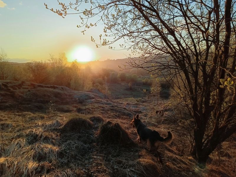 фото превью
