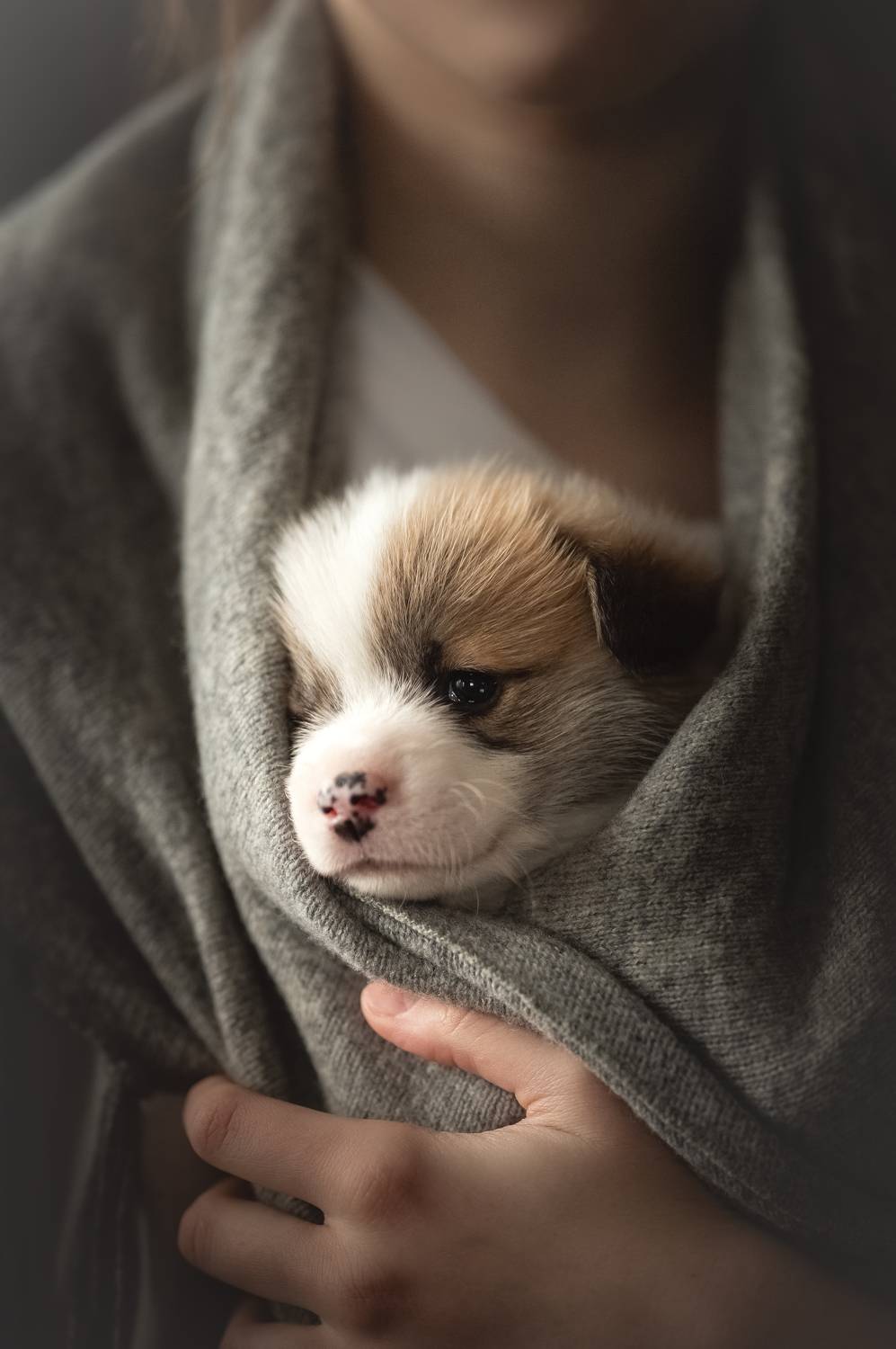 , Мороз Ирина