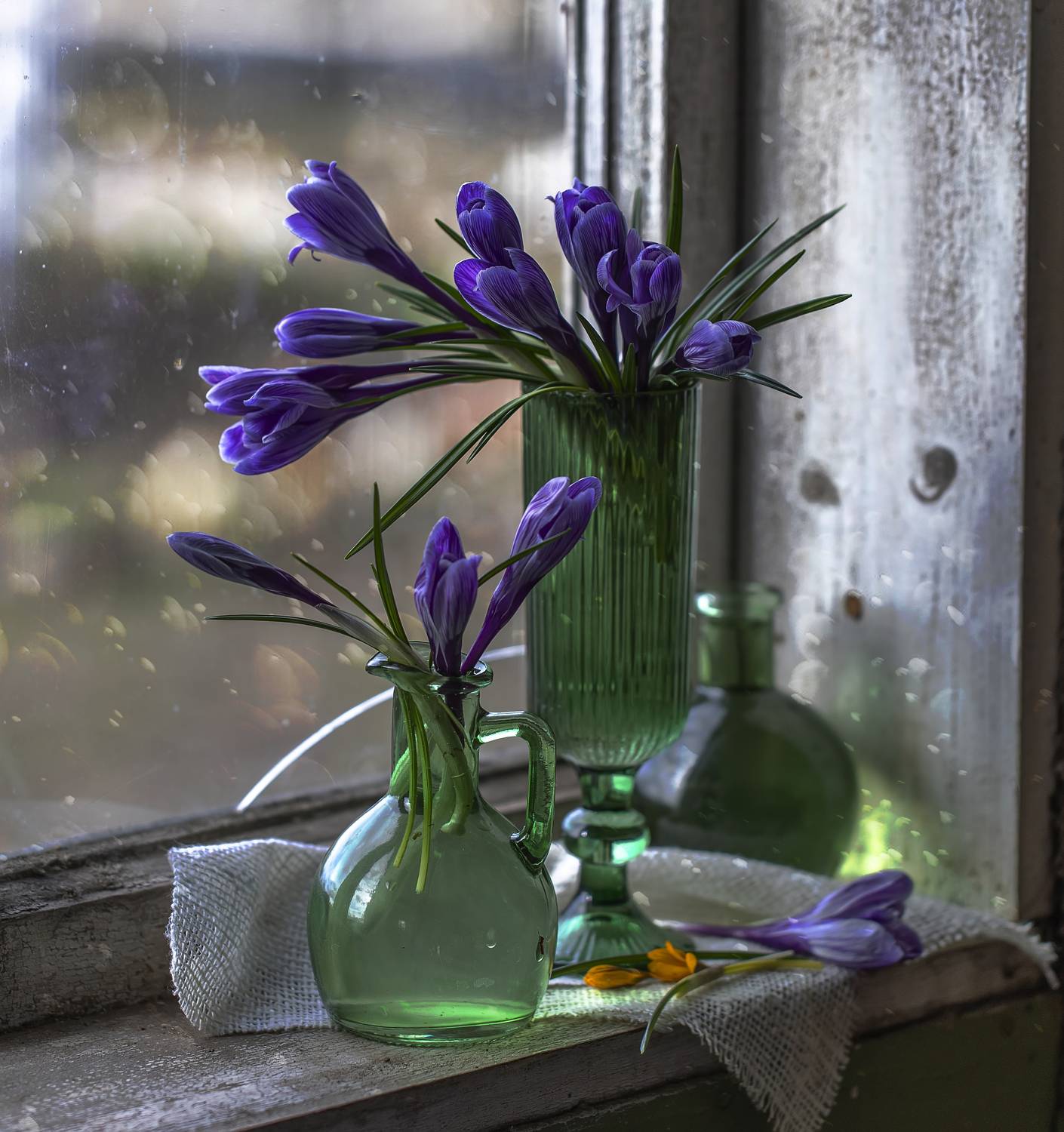 натюрморт, крокусы, Феденкова Татьяна