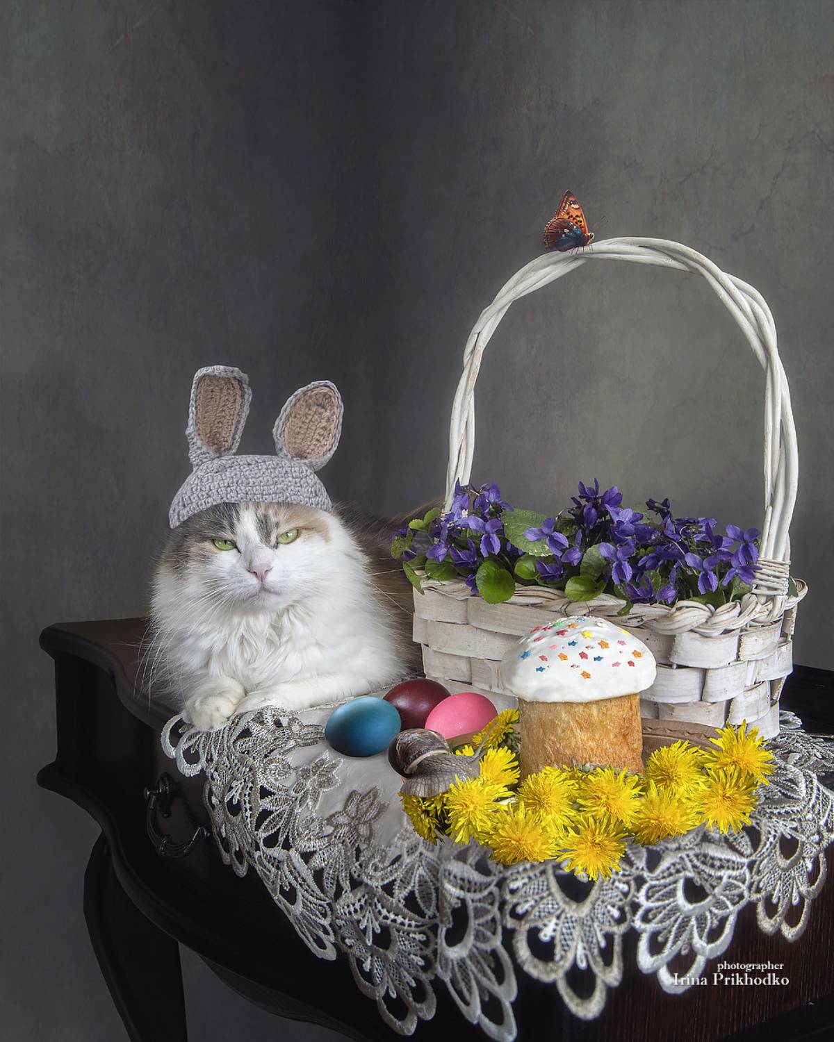 постановочное фото, Пасха, праздник, поздравительная открытка, домашние питомцы, зайчик, кошка, Приходько Ирина