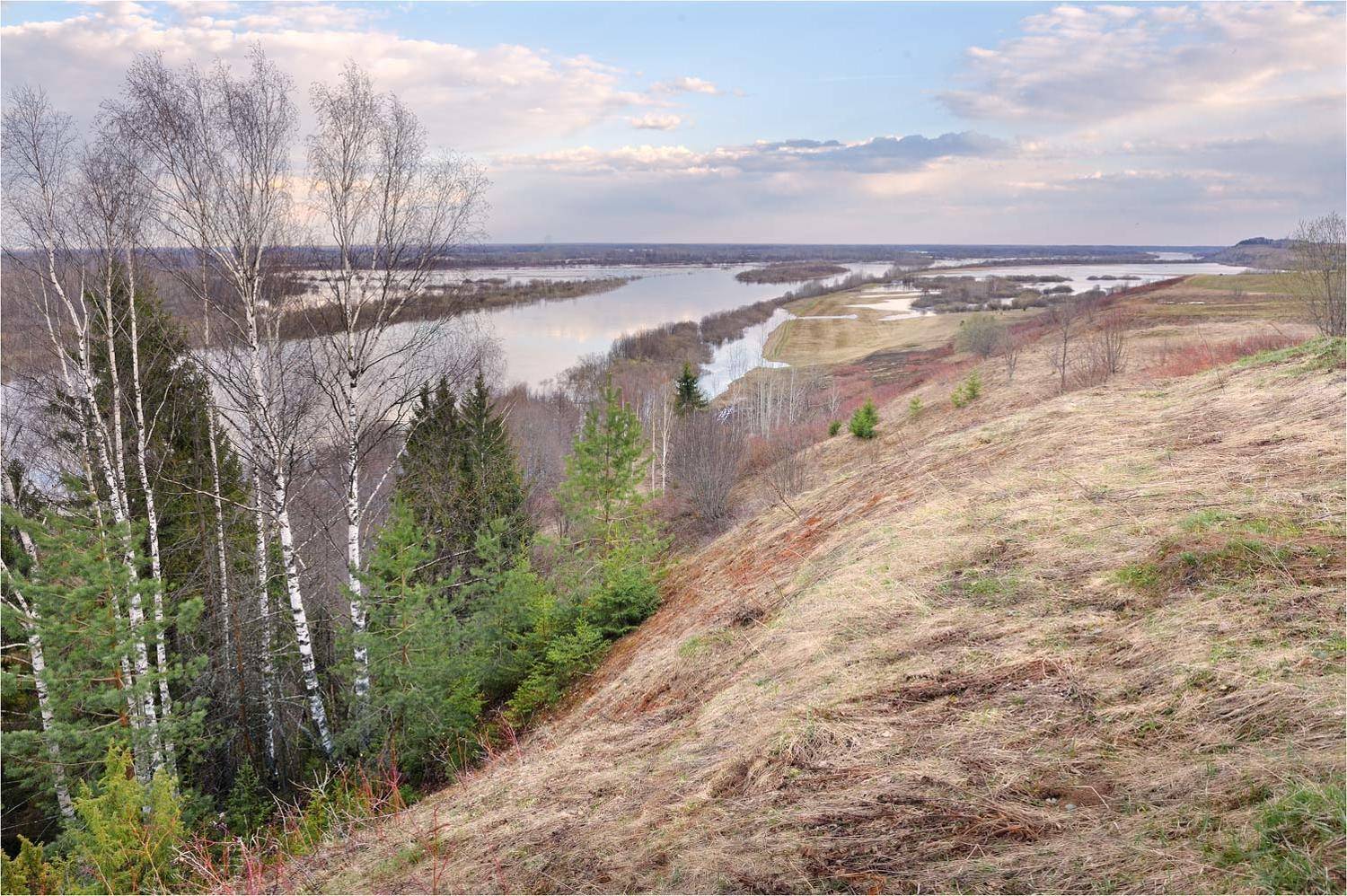 , Анатолий Гулин