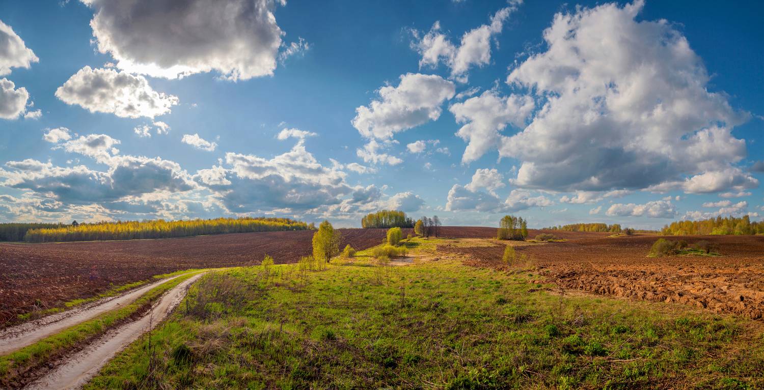 поле, дорога, лес, облака, Свистков Александр