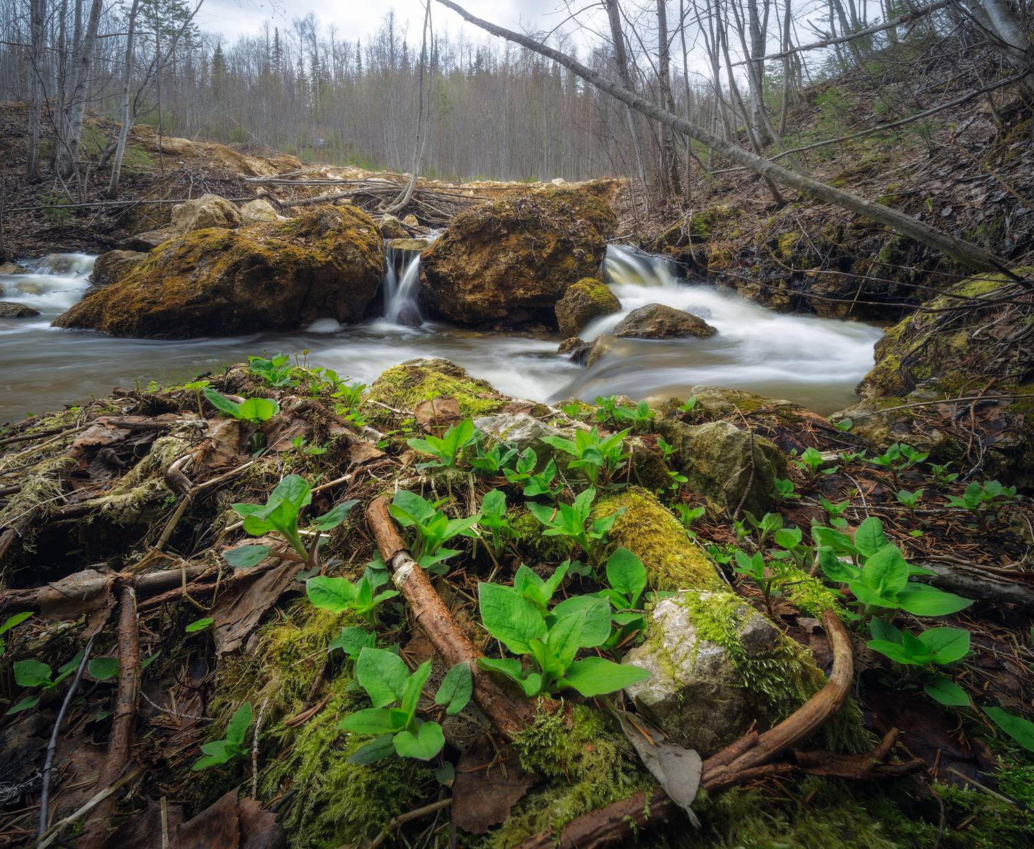 , Иван Чаланов