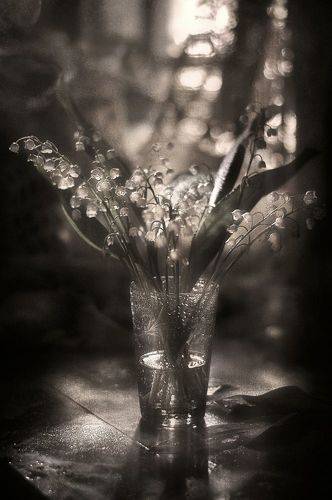 Ландышей хрустальный звон