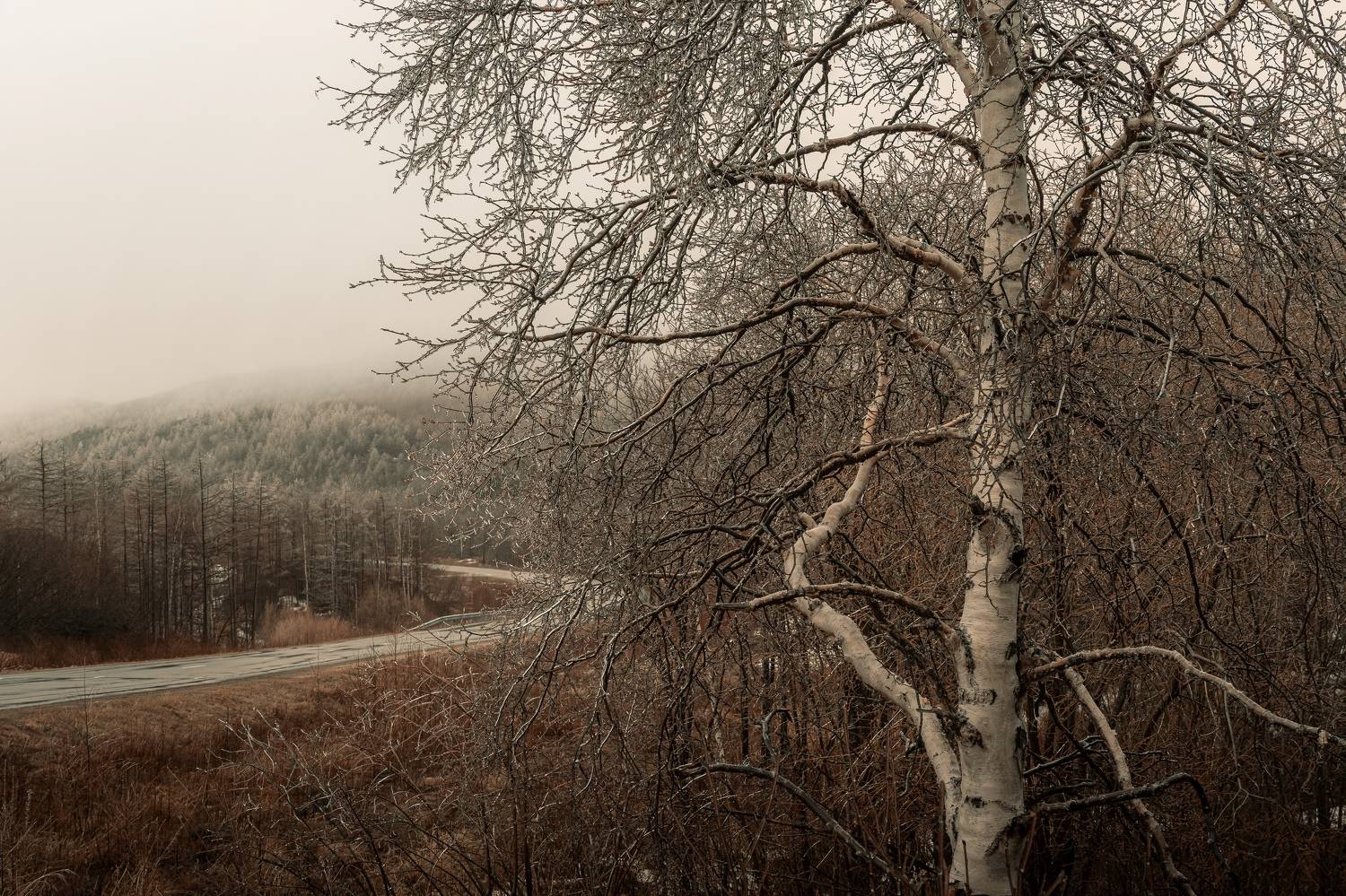 , Антон Сидоров