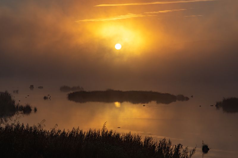 Пылающий рассвет фото превью