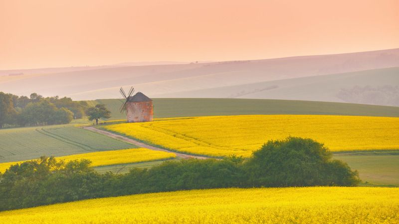 Kunkovice. Весна 2018 фото превью