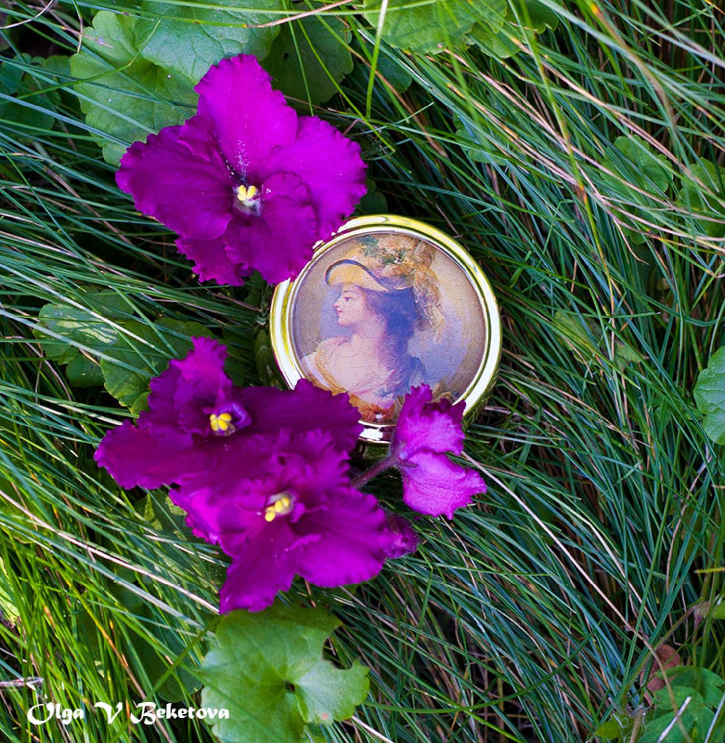 фиалки, пудреница, Бекетова Ольга