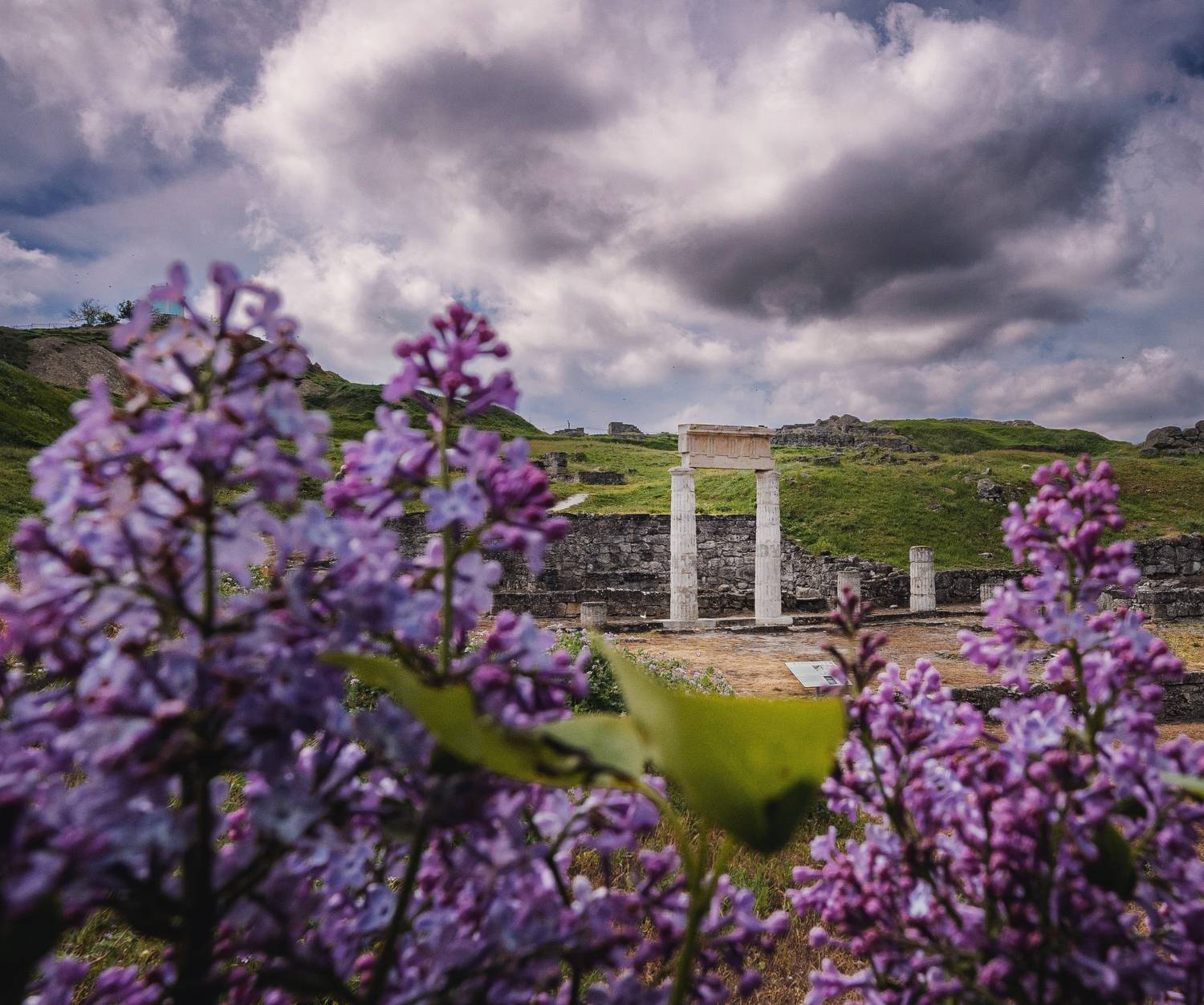 архитектура, античность, древность, монументальность, колонны, весна, цветение, сирень, пританей, пантикапей, митридат, боспорское царство, керчь, крым, россия, Щербак Анатолий