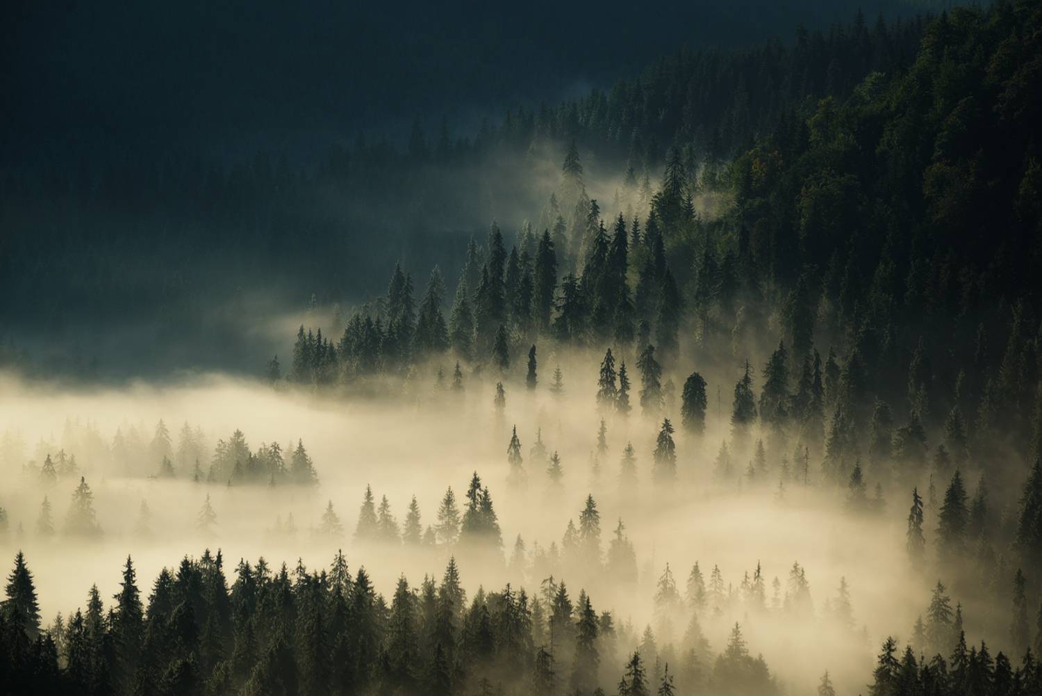 , Stefan Chirobocea