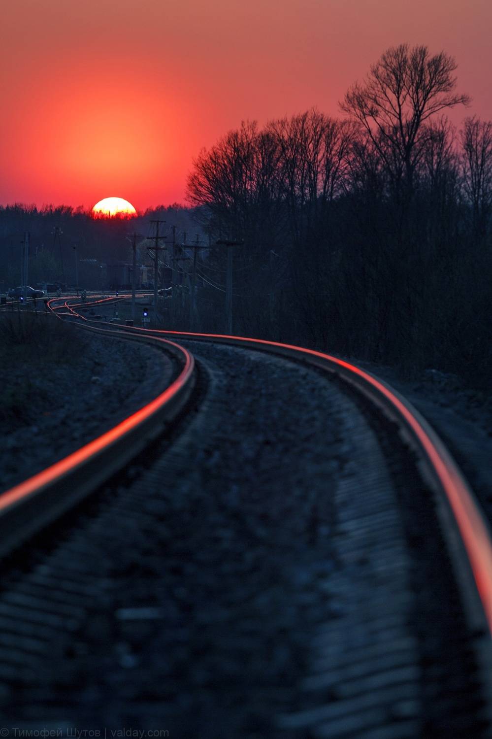 , Шутов Тимофей